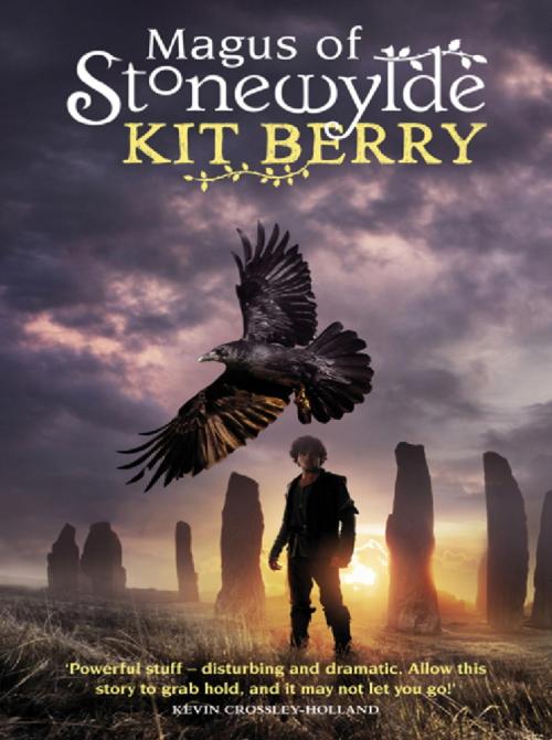 Cover of the book Magus of Stonewylde by Kit Berry, Orion Publishing Group