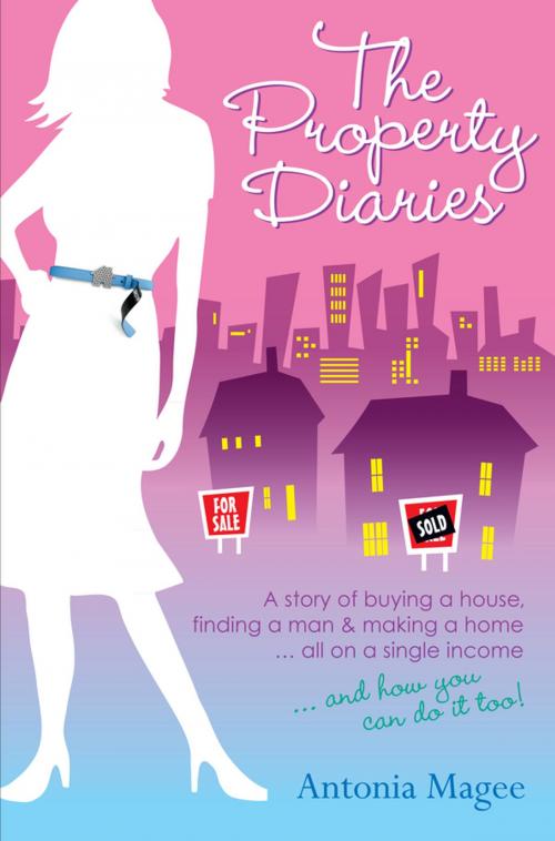 Cover of the book The Property Diaries by Antonia Magee, Wiley
