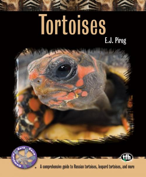 Cover of the book Tortoises by E.J. Pirog, TFH Publications, Inc.