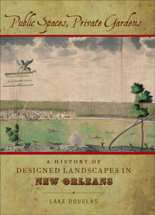 Cover of the book Public Spaces, Private Gardens by Lake Douglas, LSU Press