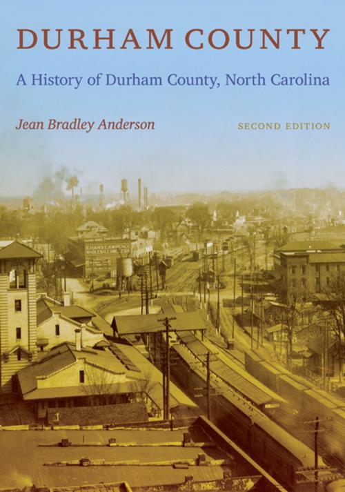 Cover of the book Durham County by Jean Bradley Anderson, Duke University Press