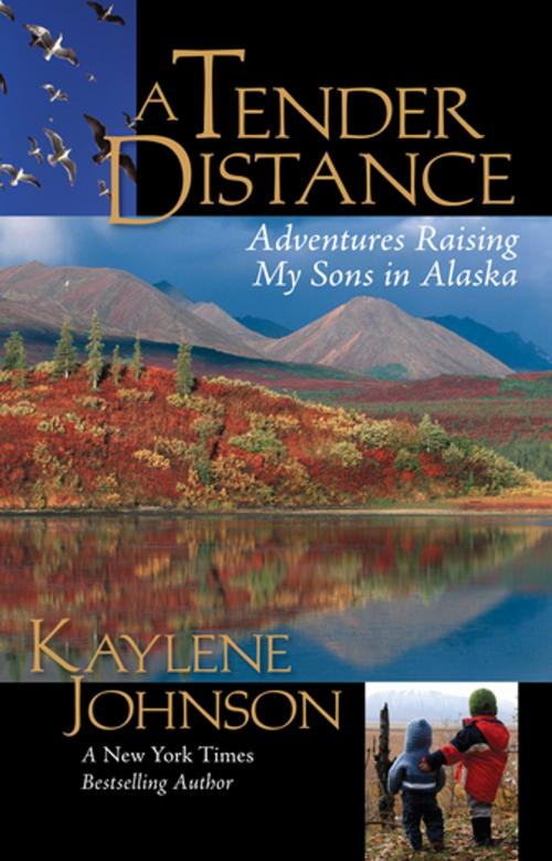 Cover of the book A Tender Distance by Kaylene Johnson, West Margin Press