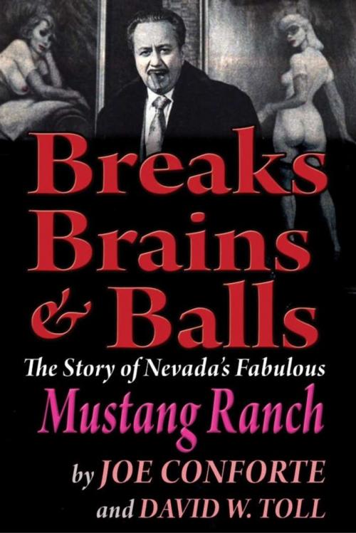 Cover of the book Breaks Brains & Balls by Joe Conforte, Gold Hill Publishing Co., Inc.
