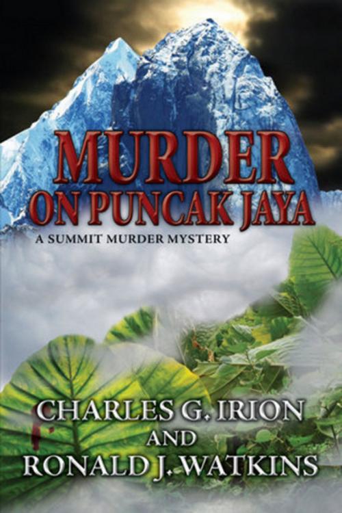 Cover of the book Murder on Puncak Jaya by Charles G. Irion, Ronald J. Watkins, Irion Books, LLC