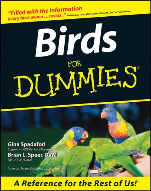 Cover of the book Birds For Dummies by Gina Spadafori, Brian L. Speer, Wiley