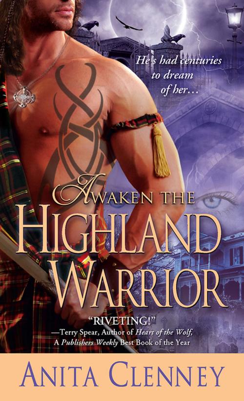 Cover of the book Awaken the Highland Warrior by Anita Clenney, Sourcebooks