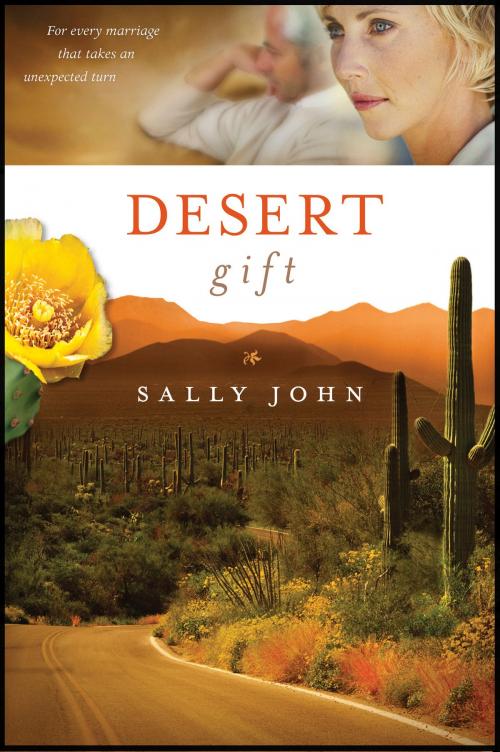 Cover of the book Desert Gift by Sally John, Tyndale House Publishers, Inc.