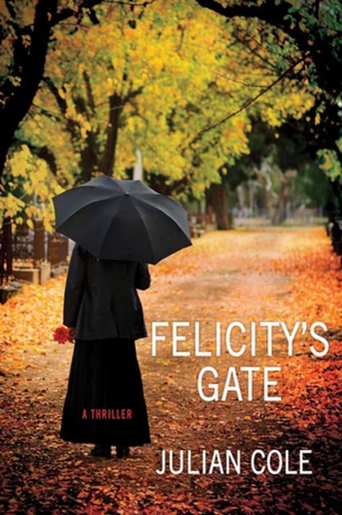 Cover of the book Felicity's Gate by Julian Cole, St. Martin's Press
