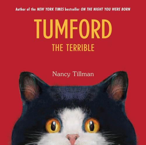 Cover of the book Tumford the Terrible by Nancy Tillman, Feiwel & Friends