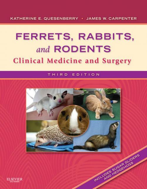 Cover of the book Ferrets, Rabbits and Rodents - E-Book by Katherine Quesenberry, DVM, MPH, Diplomate ABVP, James W. Carpenter, MS, DVM, Dipl ACZM, Elsevier Health Sciences