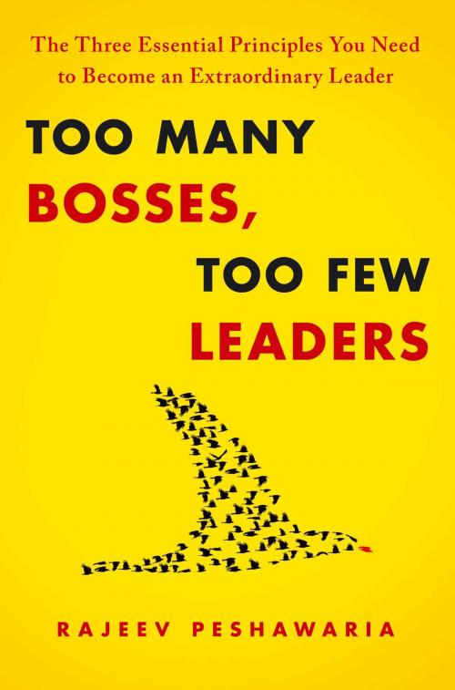 Cover of the book Too Many Bosses, Too Few Leaders by Rajeev Peshawaria, Free Press
