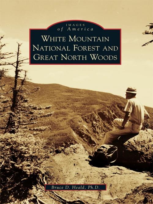 Cover of the book White Mountain National Forest and Great North Woods by Bruce D. Heald Ph.D., Arcadia Publishing Inc.