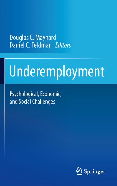 Cover of the book Underemployment by , Springer New York