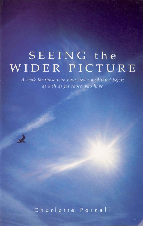 Cover of the book Seeing The Wider Picture by Charlotte Parnell, Ebury Publishing