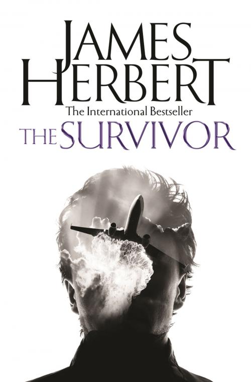 Cover of the book The Survivor by James Herbert, Pan Macmillan