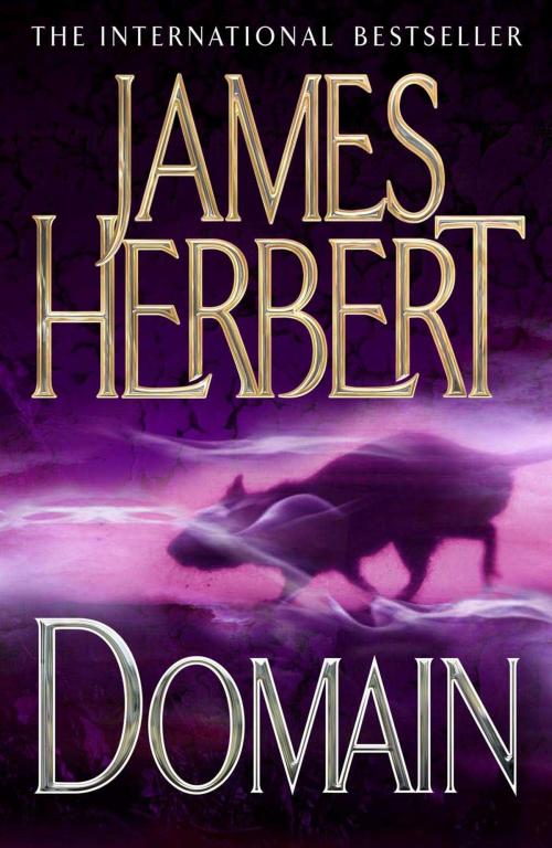 Cover of the book Domain by James Herbert, Pan Macmillan