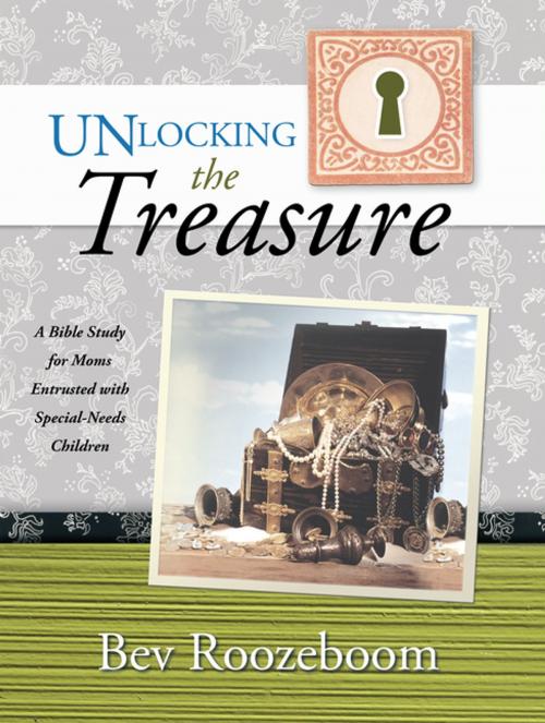 Cover of the book Unlocking the Treasure by Bev Roozeboom, WestBow Press