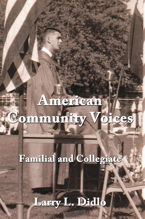 Cover of the book American Community Voices by Larry L. Didlo, AuthorHouse
