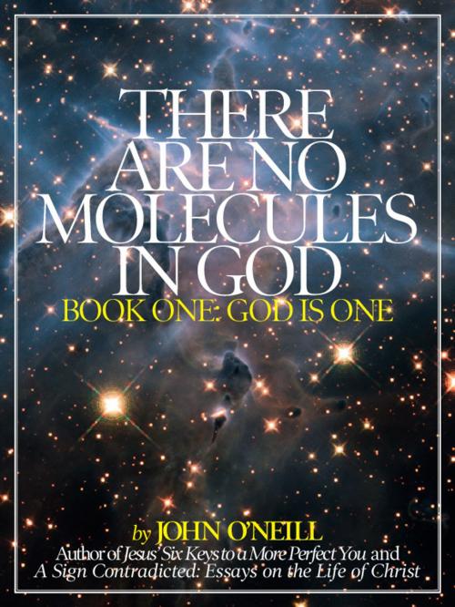 Cover of the book There Are No Molecules in God by John O'Neill, John O'Neill