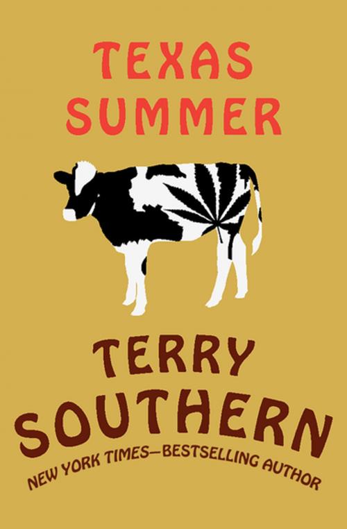 Cover of the book Texas Summer by Terry Southern, Open Road Media