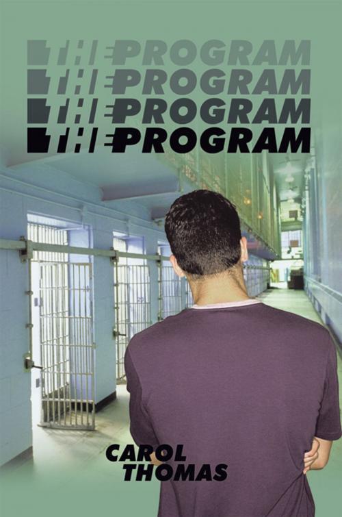 Cover of the book The Program by Carol Thomas, AuthorHouse