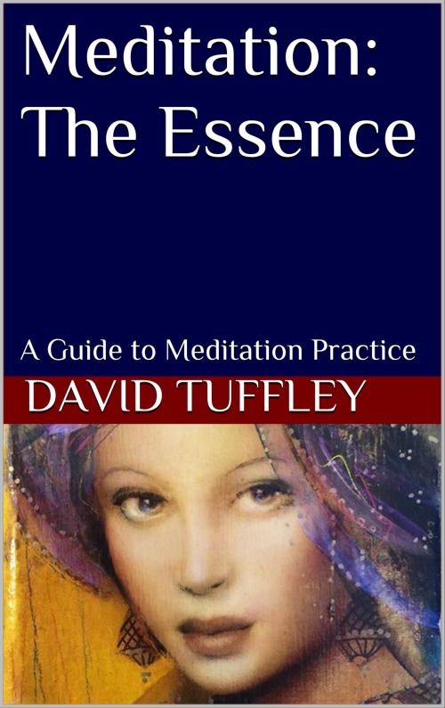 Cover of the book Meditation: The Essence by David Tuffley, Altiora Publications