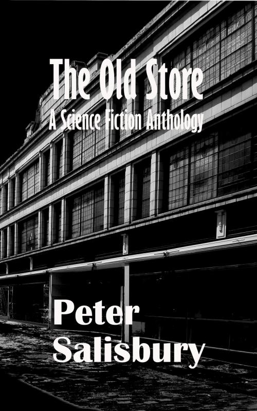 Cover of the book The Old Store: A Science Fiction Anthology by Peter Salisbury, Peter Salisbury