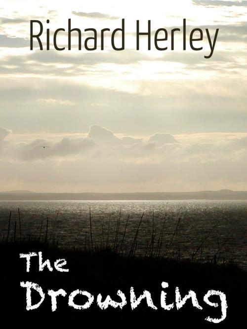 Cover of the book The Drowning by Richard Herley, Richard Herley