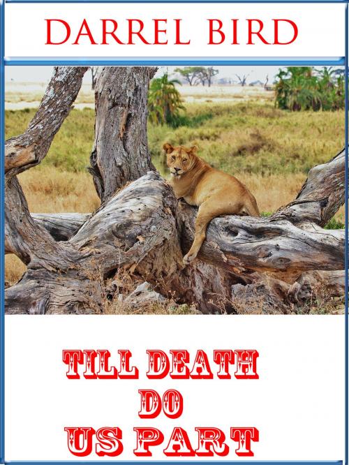 Cover of the book Till Death Do Us Part by Darrel Bird, Darrel Bird