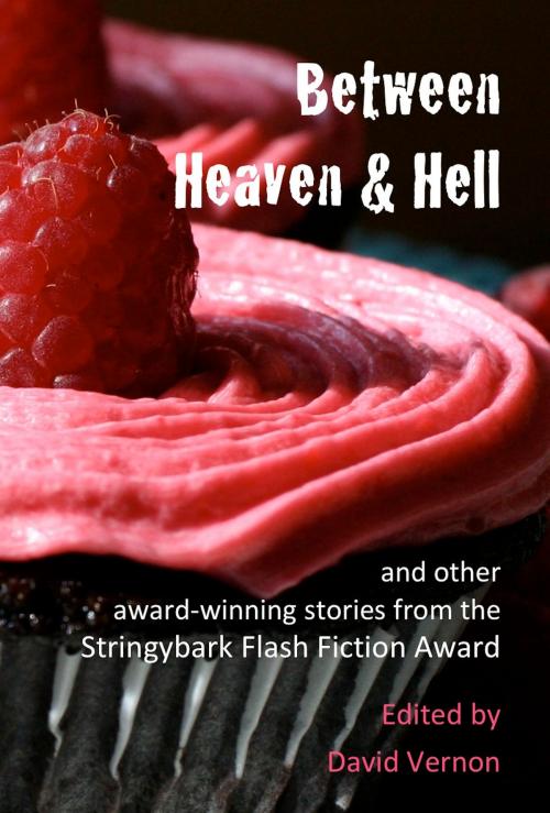 Cover of the book Between Heaven & Hell and Other Award-winning Stories from the Stringybark Flash Fiction Award by David Vernon, David Vernon