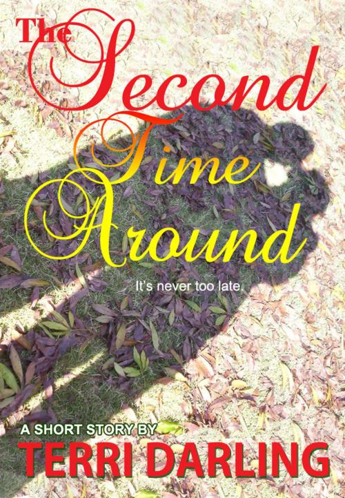 Cover of the book The Second Time Around by Terri Darling, Fiero Publishing