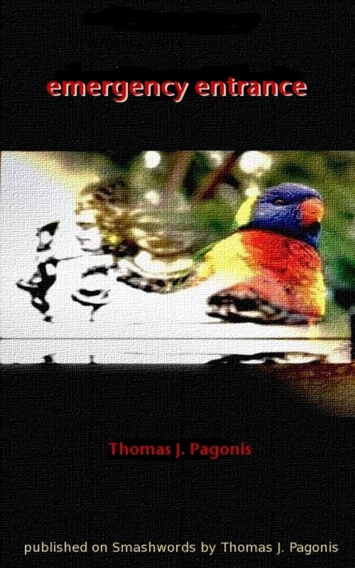 Cover of the book Emergency Entrance by Thomas J. Pagonis, Thomas J. Pagonis