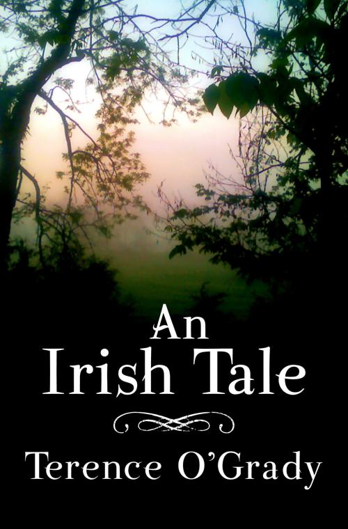 Cover of the book An Irish Tale by Terence O'Grady, Terence O'Grady