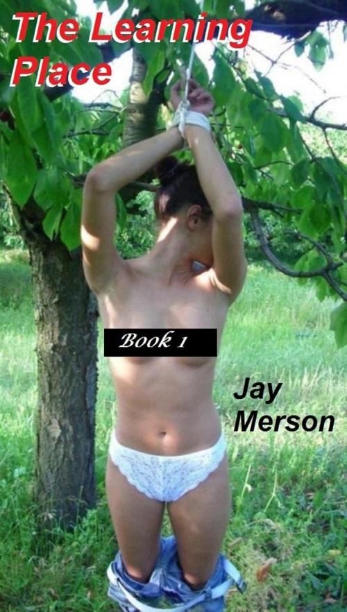 Cover of the book The Learning Place (BDSM erotica) by Jay Merson, Jay Merson