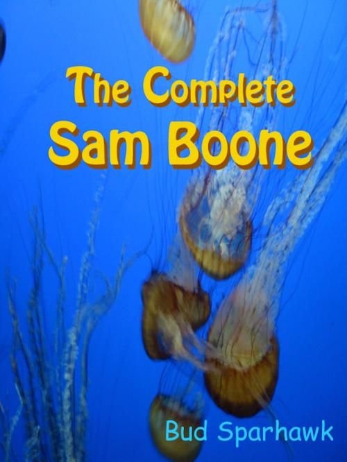 Cover of the book The Complete Sam Boone by Bud Sparhawk, Bud Sparhawk