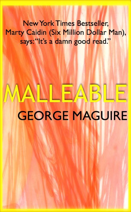 Cover of the book Malleable by George Maguire, George Maguire