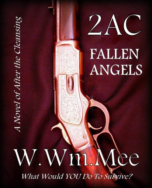 Cover of the book 2 A.C. Fallen Angels by W.Wm. Mee, W.Wm. Mee