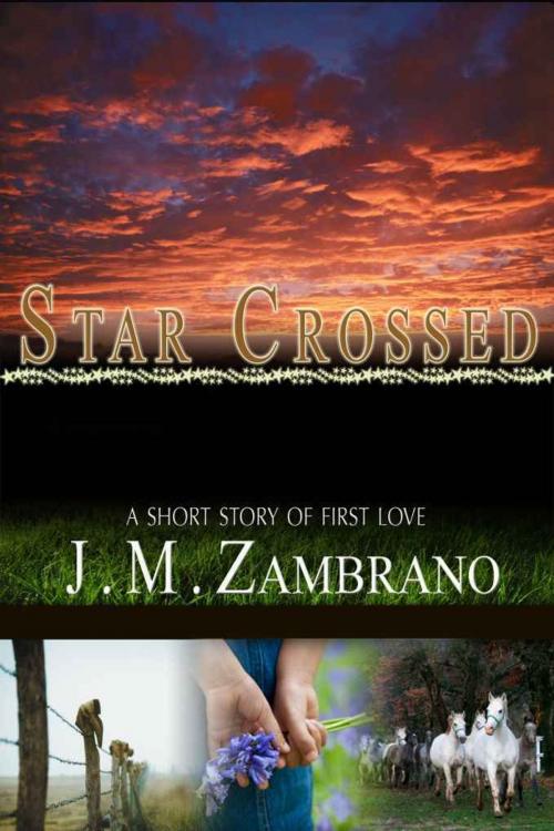 Cover of the book Star Crossed by J M Zambrano, J M Zambrano
