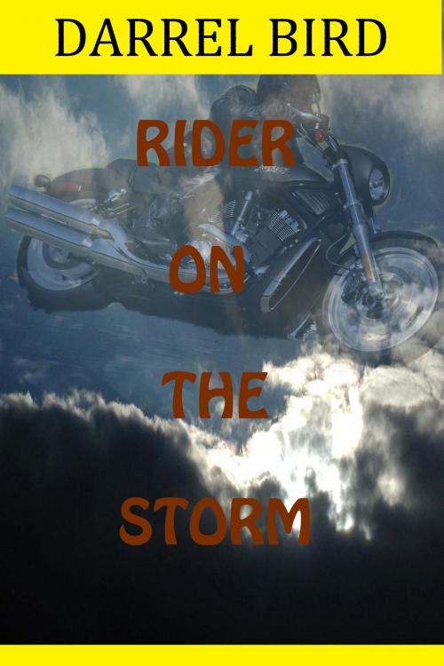 Cover of the book Rider On The Storm by Darrel Bird, Darrel Bird