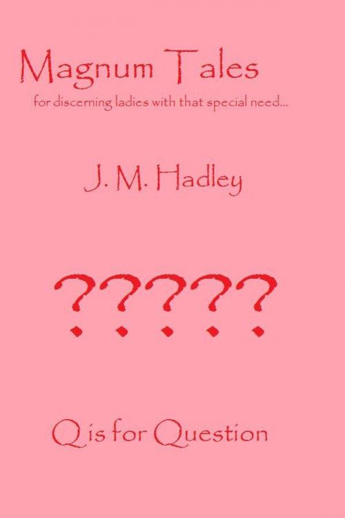 Cover of the book Magnum Tales ~ Q is for Question by J.M. Hadley, J.M. Hadley