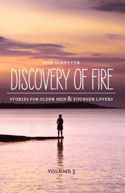 Cover of the book Discovery of Fire by Don Schecter, Don Schecter