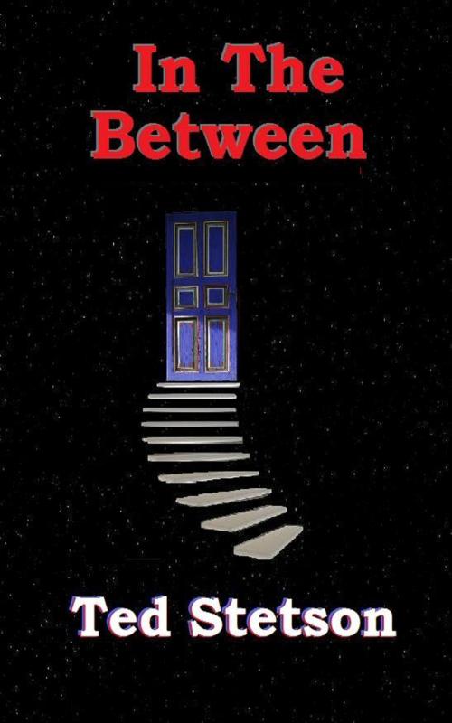 Cover of the book In The Between by Ted Stetson, Ted Stetson
