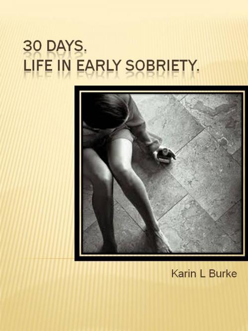 Cover of the book 30 Days by Karin Burke, Karin Burke