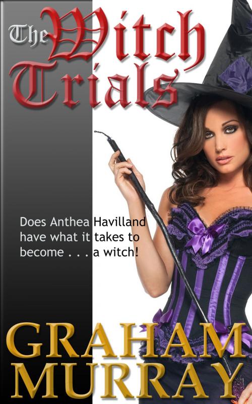 Cover of the book The Witch Trials by Graham Murray, Living Books USA