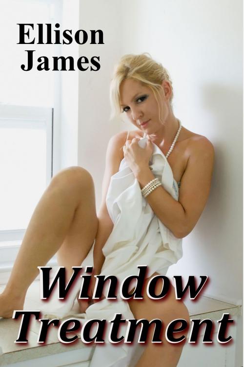 Cover of the book Window Treatment by Ellison James, Ellison James