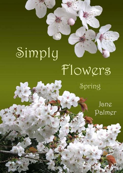 Cover of the book Simply Flowers, Spring by Jane Palmer, Dodo Books
