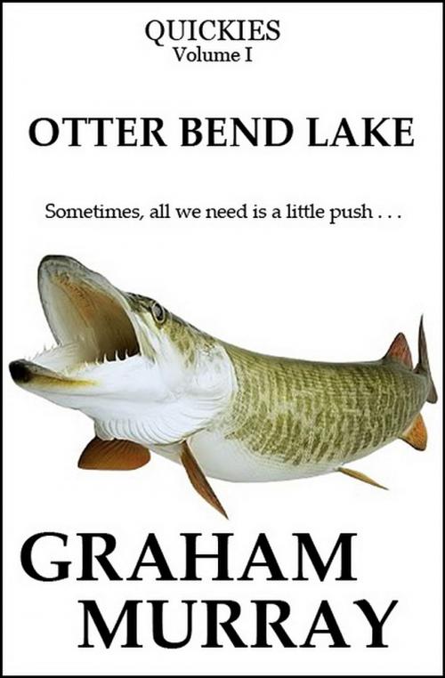 Cover of the book Otter Bend Lake by Graham Murray, Living Books USA