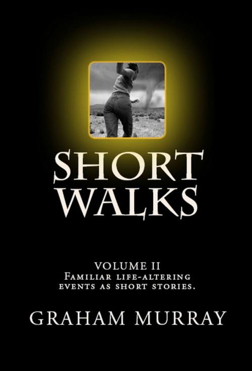 Cover of the book Short Walks: Volume II by Graham Murray, Living Books USA