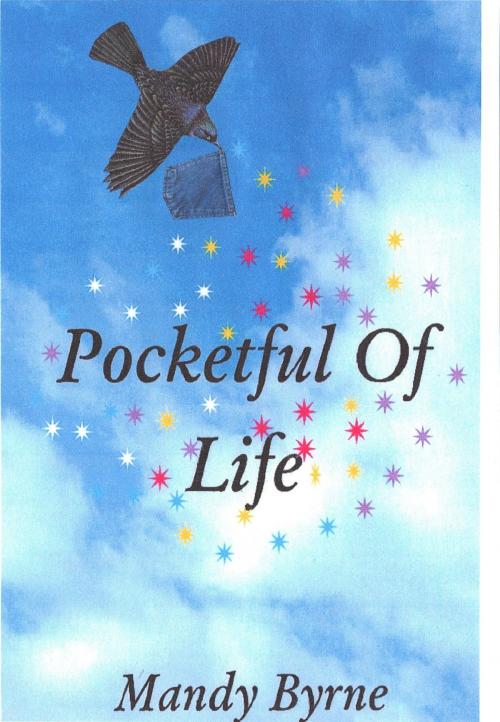 Cover of the book Pocketful of Life by Mandy Byrne, Mandy Byrne