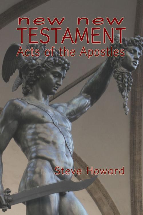 Cover of the book New New Testament Acts of the Apostles by Steve Howard, Steve Howard